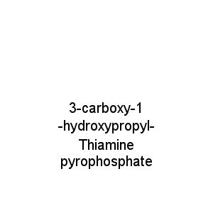 3-carboxy-1-hydroxypropyl-Thiamine pyrophosphate